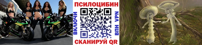 Галлюциногенные грибы мицелий  Зеленоградск 